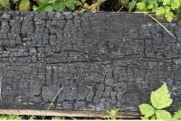 wood burned 0019